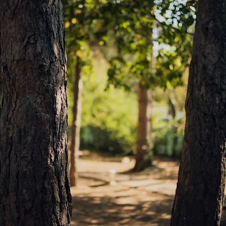 Kuca Za Odmor Vikendica *