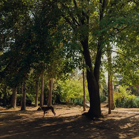 Vikendica Kuca Za Odmor Vrdnik