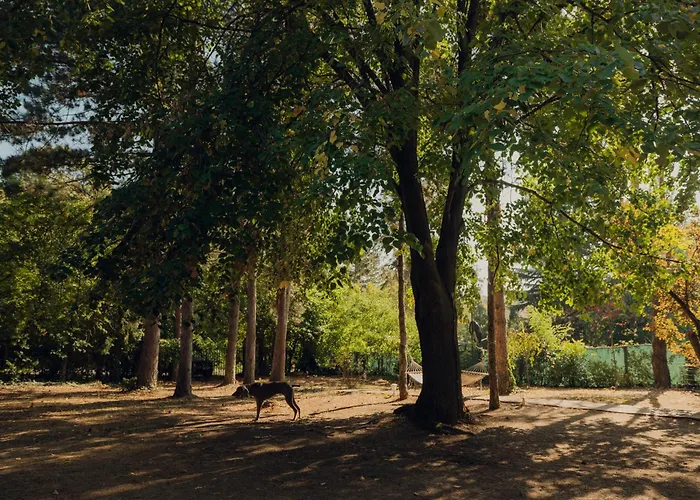 Feriehus Kuca Za Odmor Vrdnik